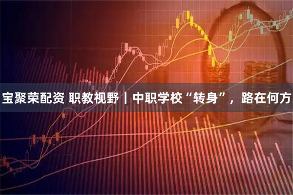 宝聚荣配资 职教视野｜中职学校“转身”，路在何方